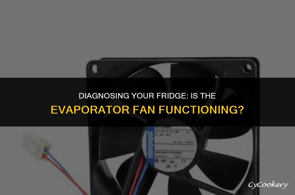 how to check if refrigerator evaporator fan is working