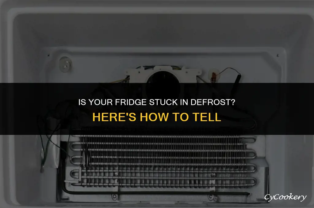 how to check if refrigerator is stuck in defrost
