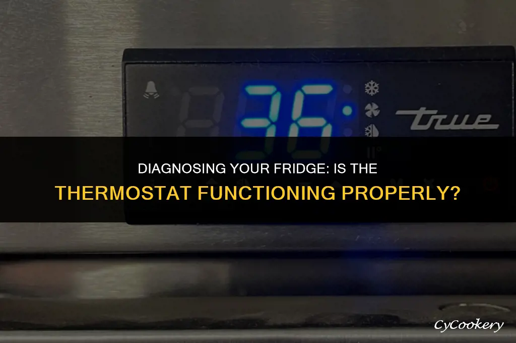 how to check if refrigerator thermostat is working