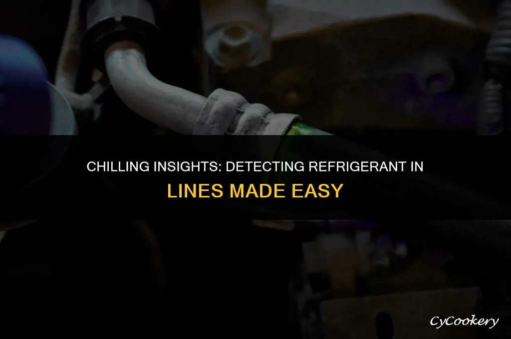 how to check if theres refrigerant in lines