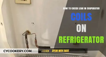 Chill Maintenance: Detecting Leaks in Your Fridge's Evaporator Coils