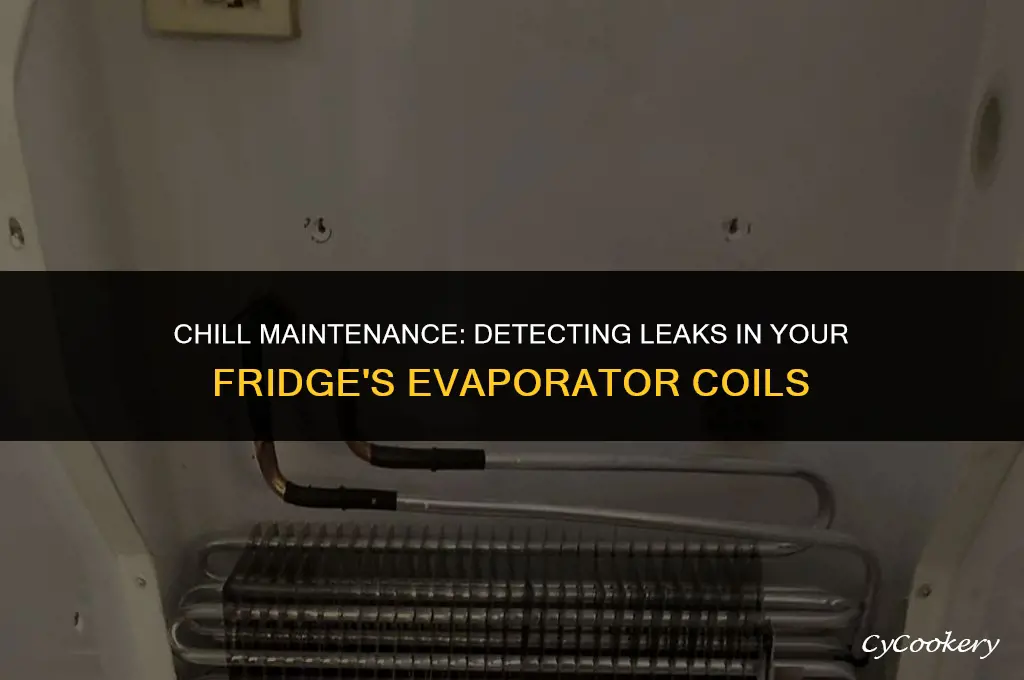 how to check leak in evaporator coils on refrigerator