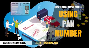 Verify Your Tax Details Easily Using Your PAN Number