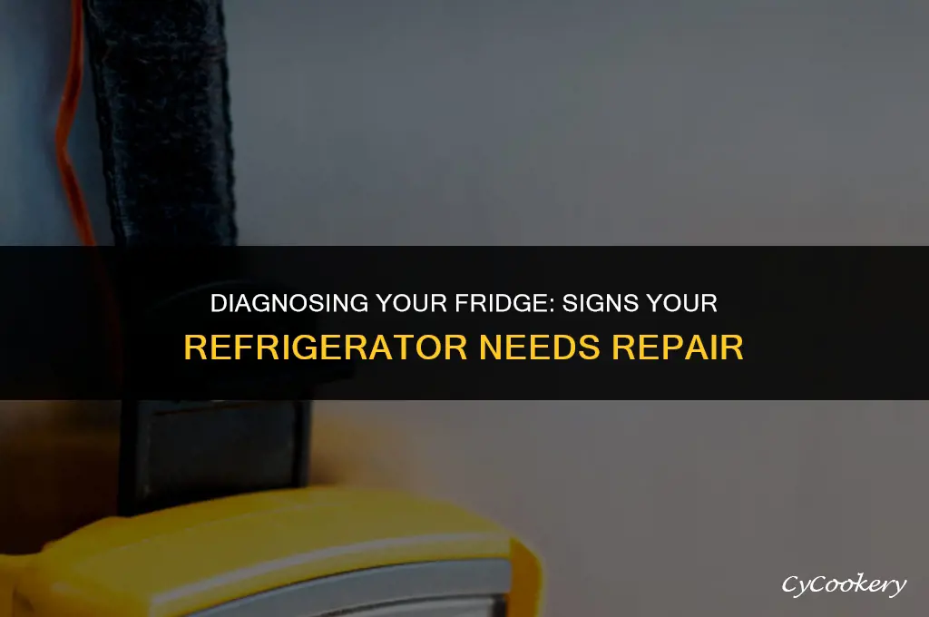 how to check my true refrigerator is broken