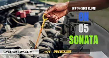 Checking Oil Pan: 05 Sonata Maintenance Guide