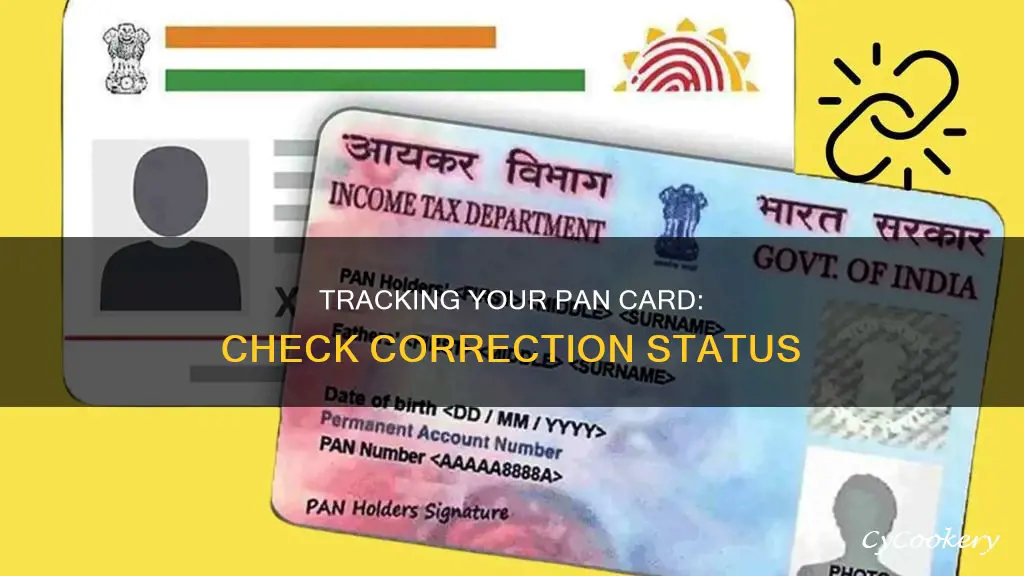 how to check pan correction status