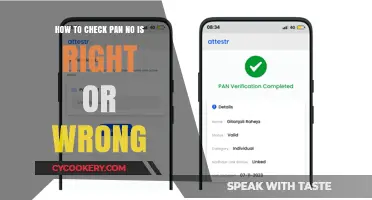 Verify Your PAN Card: Quick and Easy Steps