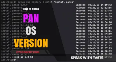 Quickly Verifying Your PAN OS Version