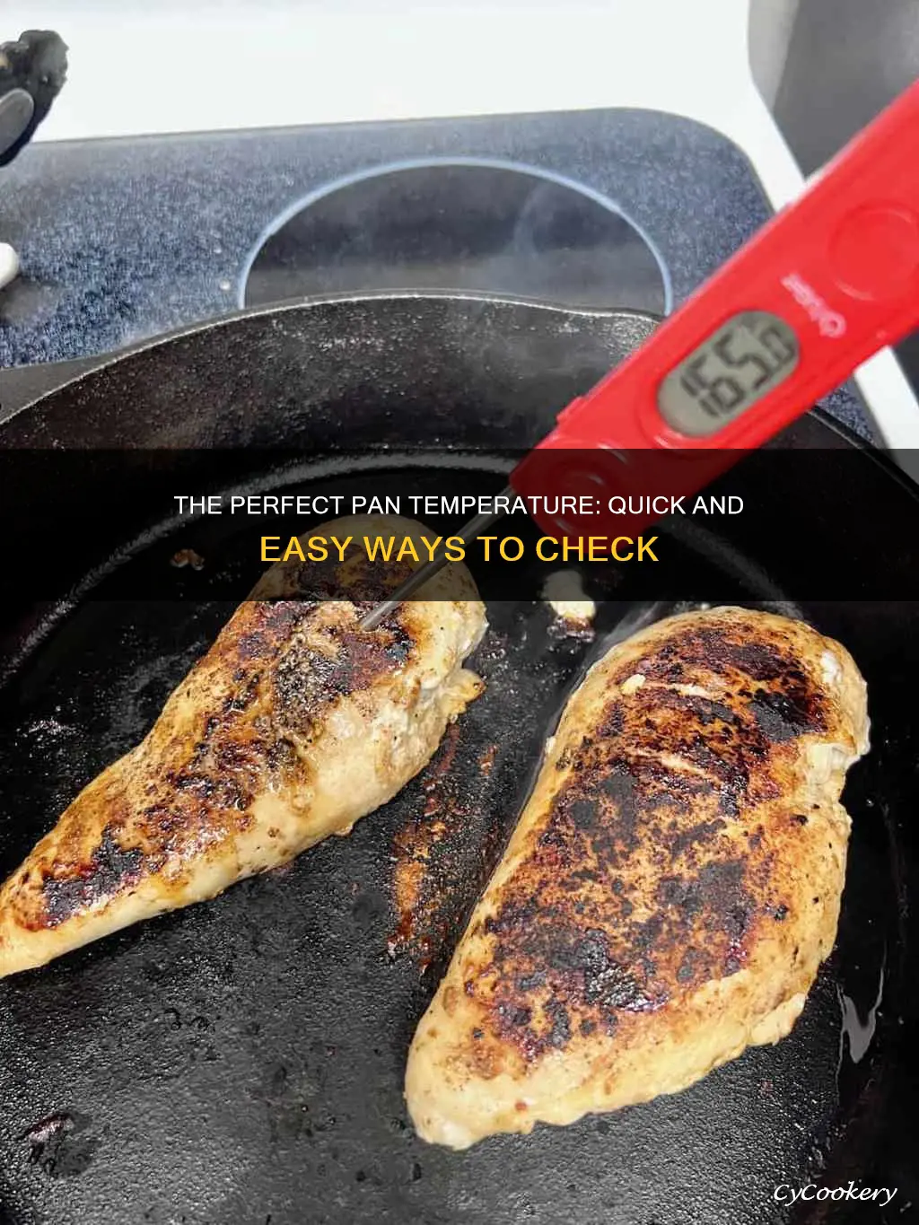 how to check pan temperature