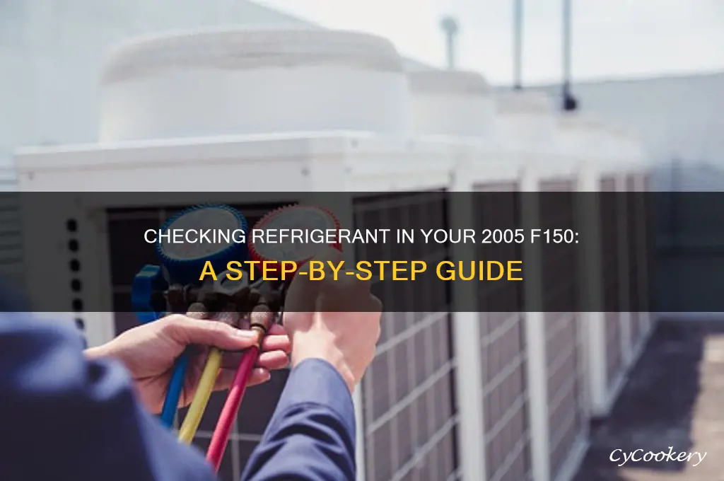 how to check refrigerant in 2005 f150