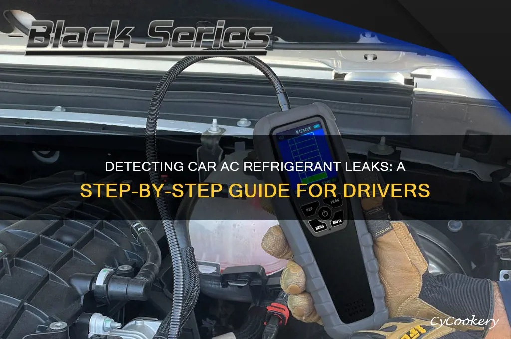 how to check refrigerant leak in car