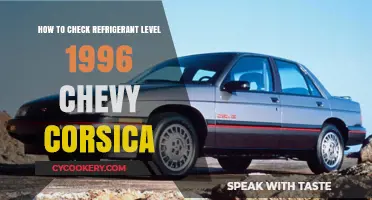 Easy Guide to Checking Refrigerant Levels in Your 1996 Chevy Corsica