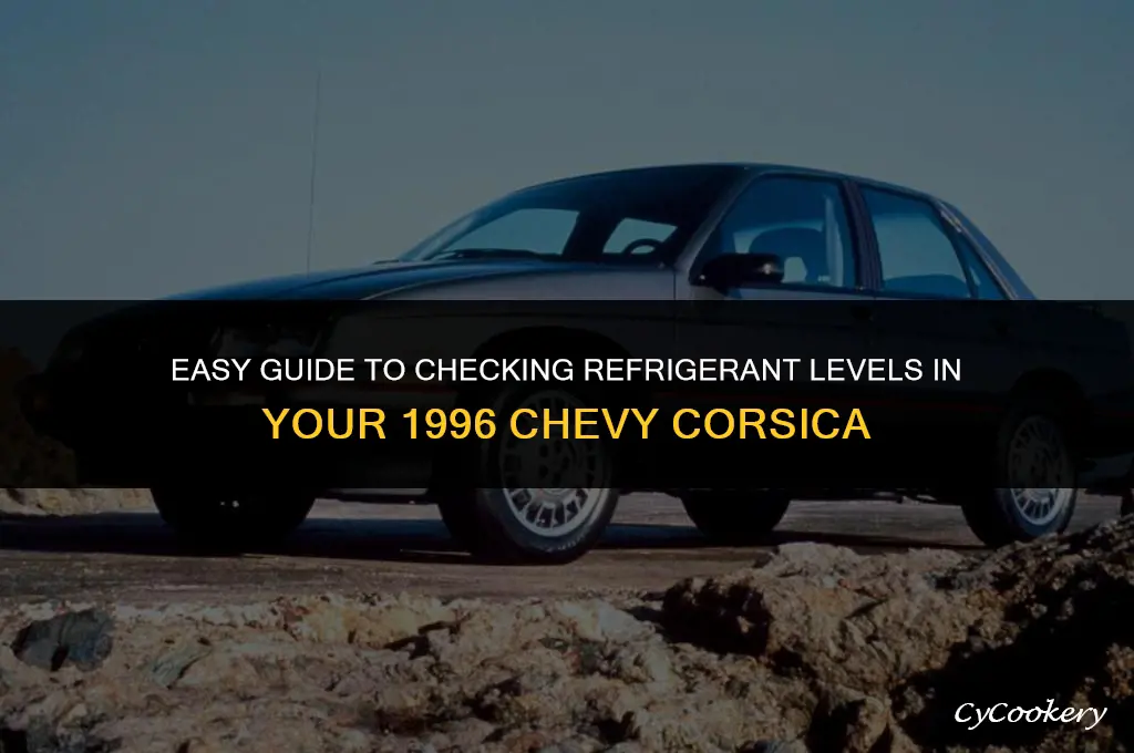 how to check refrigerant level 1996 chevy corsica