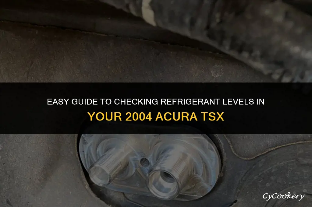 how to check refrigerant level in 2004 acura tsx
