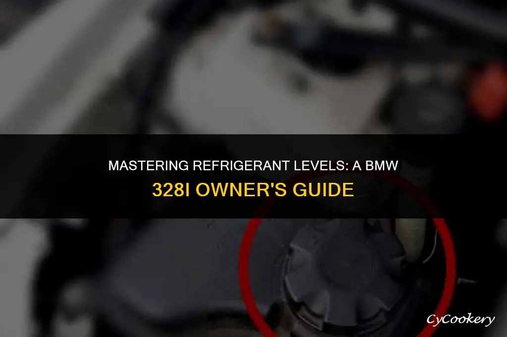 how to check refrigerant level in bmw 328i
