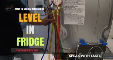 Easy Steps to Check Refrigerant Levels in Your Fridge