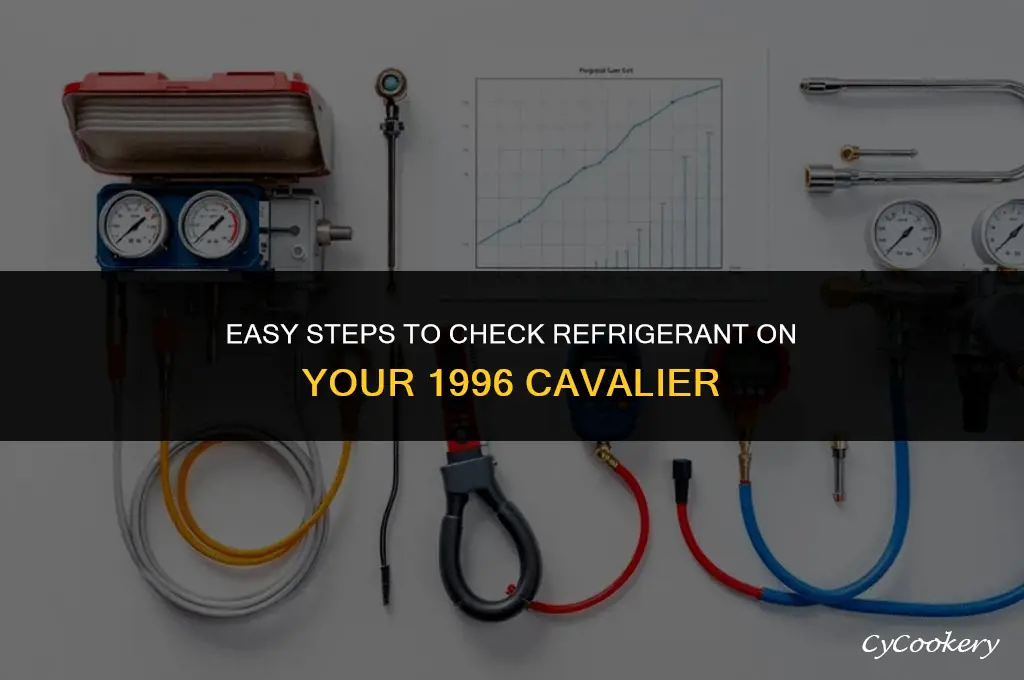 how to check refrigerant on uss 96 cavalier
