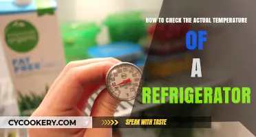 Chill Check: Ensuring Your Fridge's Temperature is Just Right
