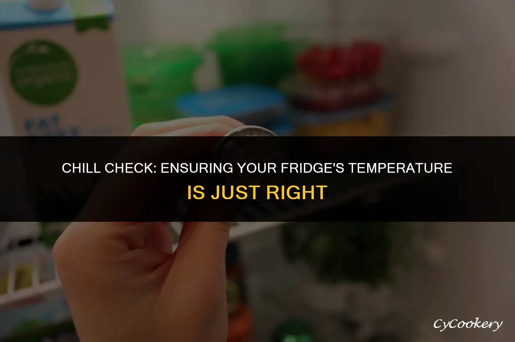 how to check the actual temperature of a refrigerator