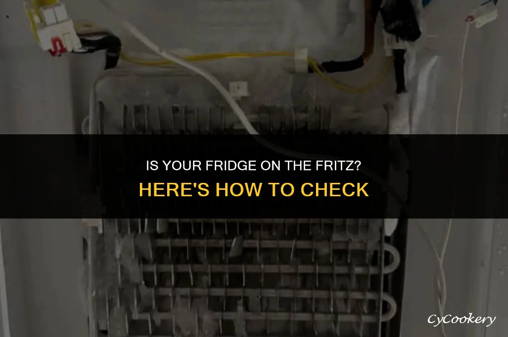 how to check to see if refrigerator stopped working