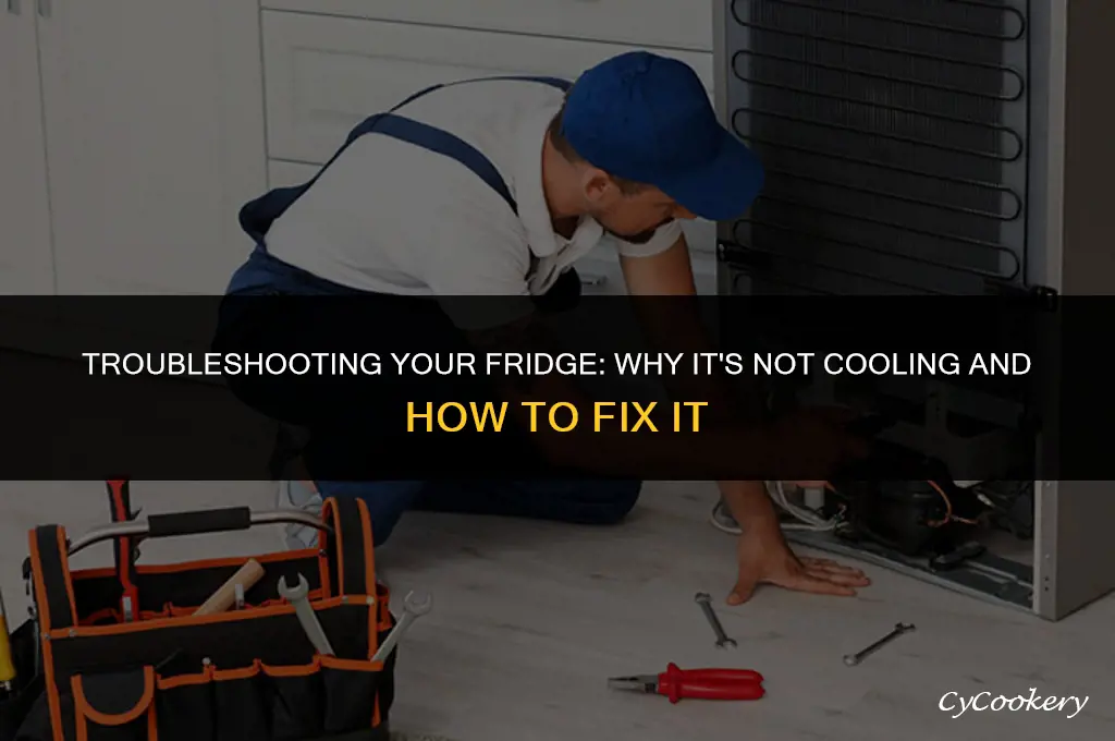 how to check why your refrigerator is not cooling