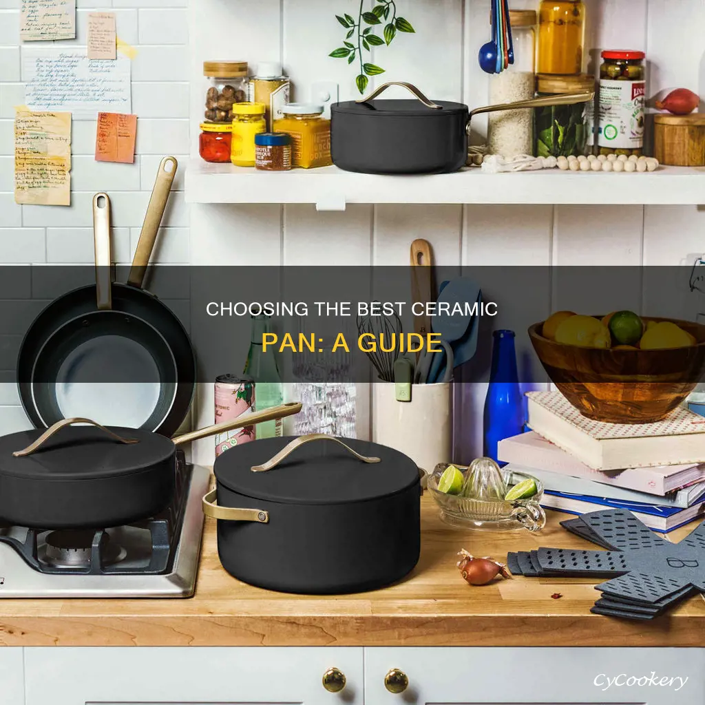 how to choose a ceramic pan