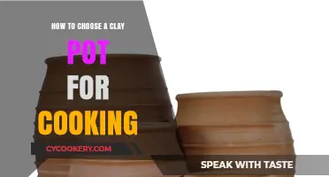 Choosing the Right Clay Pot for Cooking