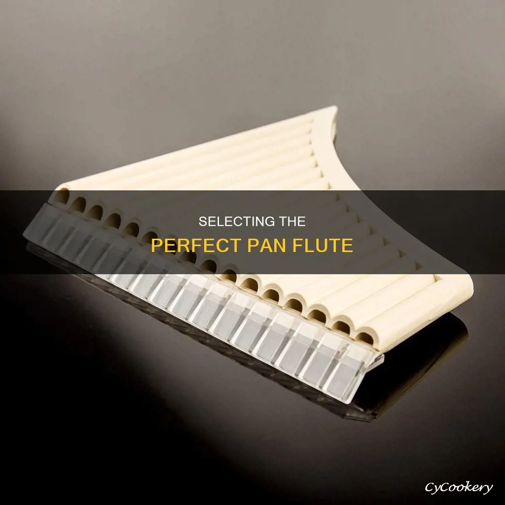 how to choose a pan flute