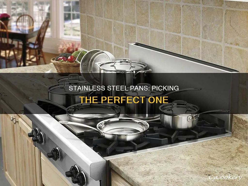 how to choose a stainless steel pan