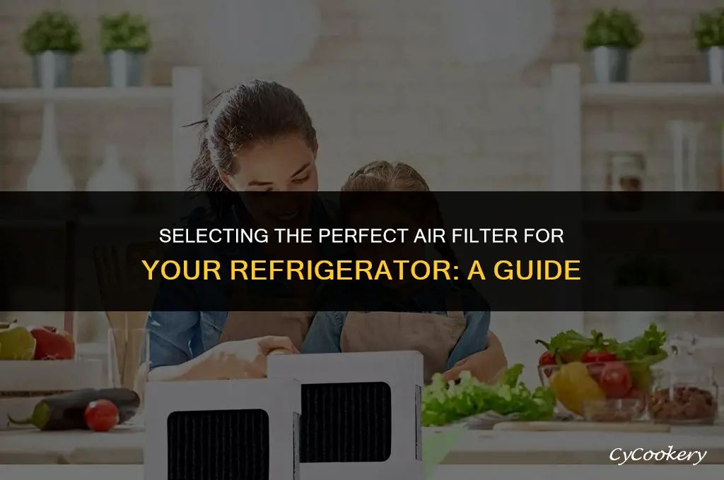 how to choose an air filter for refrigerator