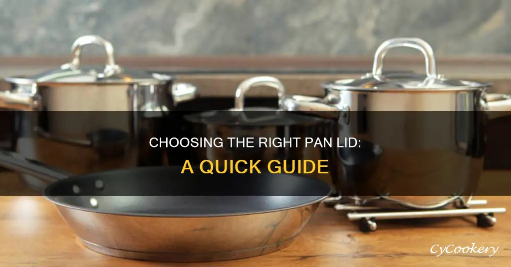 how to choose pan lid