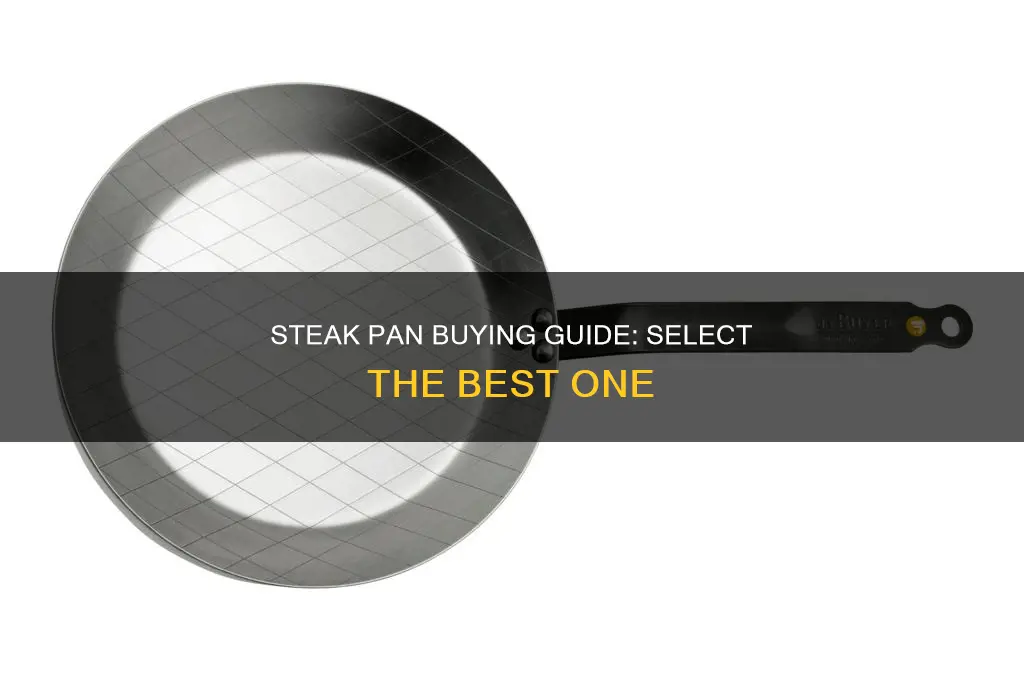 how to choose steak pan