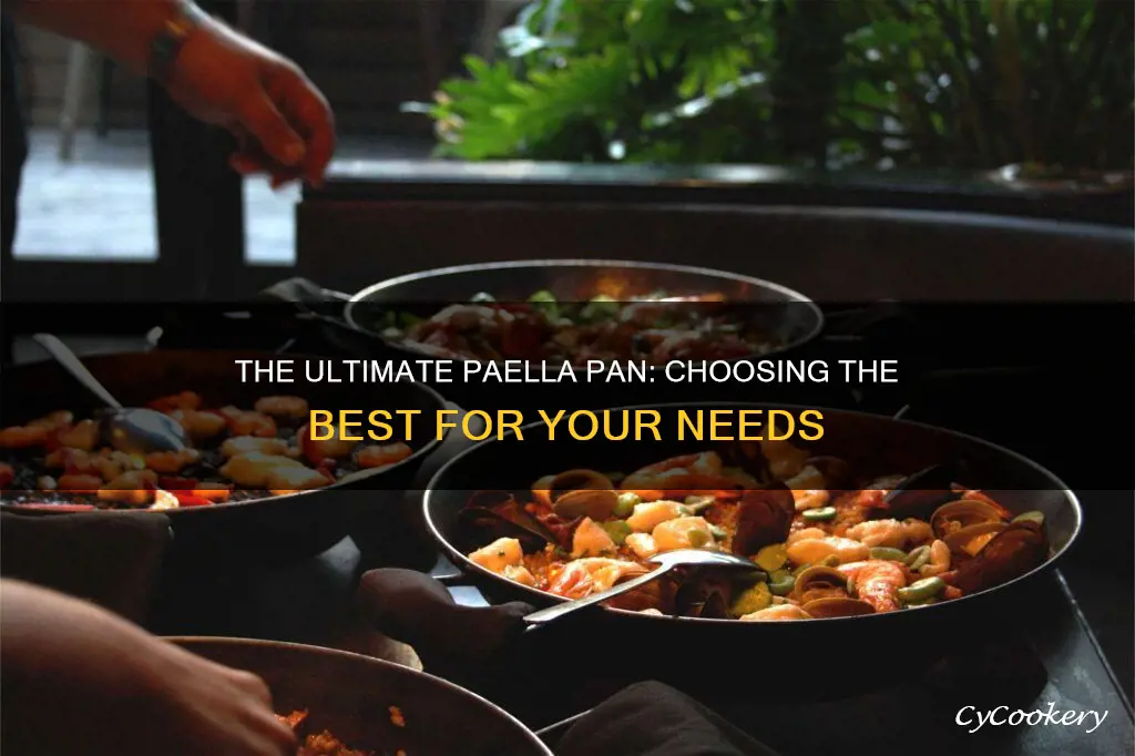 how to choose the best paella pan