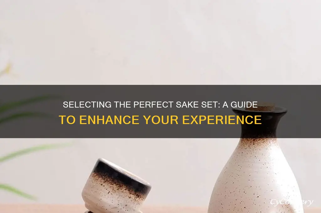 how to choose your sake set