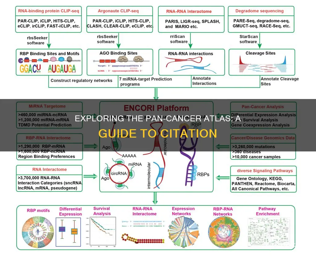 how to cite pan cancer atlas