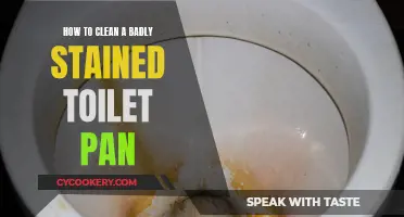 Toilet Pan Stains: Effective Cleaning Strategies for a Sparkling Bowl