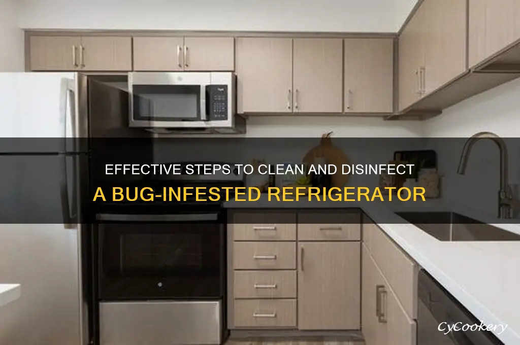 how to clean a bug infested refrigerator