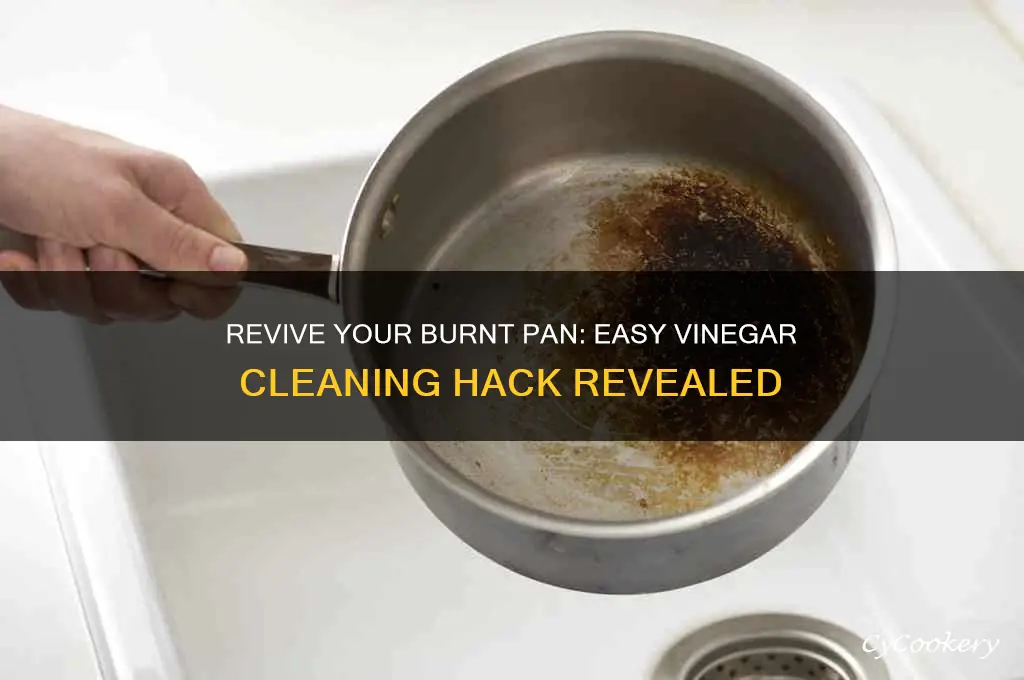 how to clean a burnt pan using vinegar