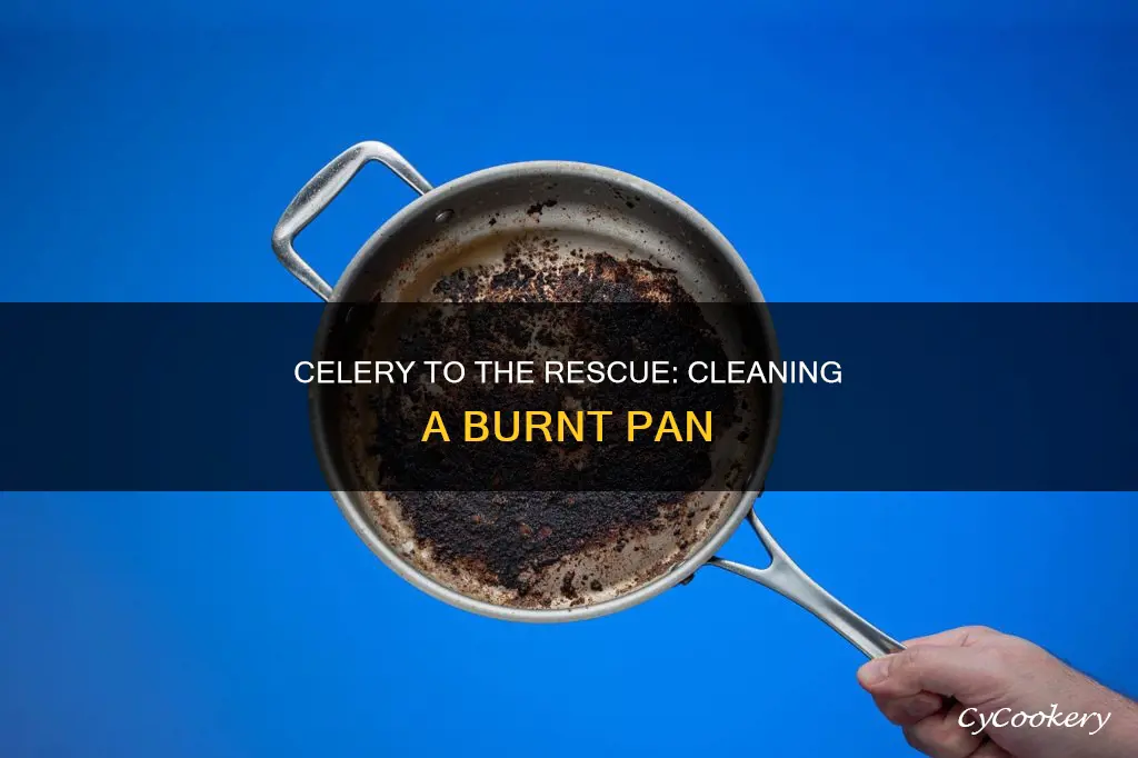 how to clean a burnt pan with celery