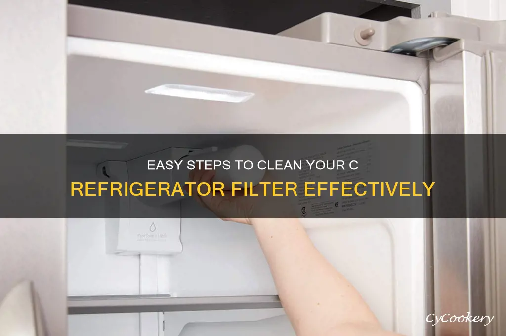 how to clean a c refrigerator filter