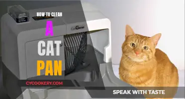 Keep Your Cat Pan Clean: Tips and Tricks