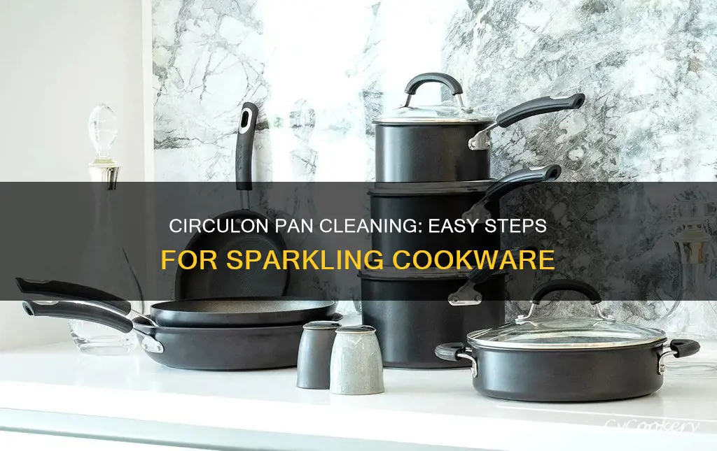 how to clean a circulon pan