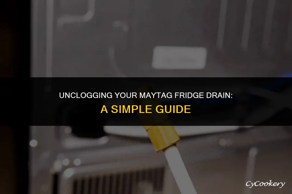 how to clean a drain in a maytag refrigerator