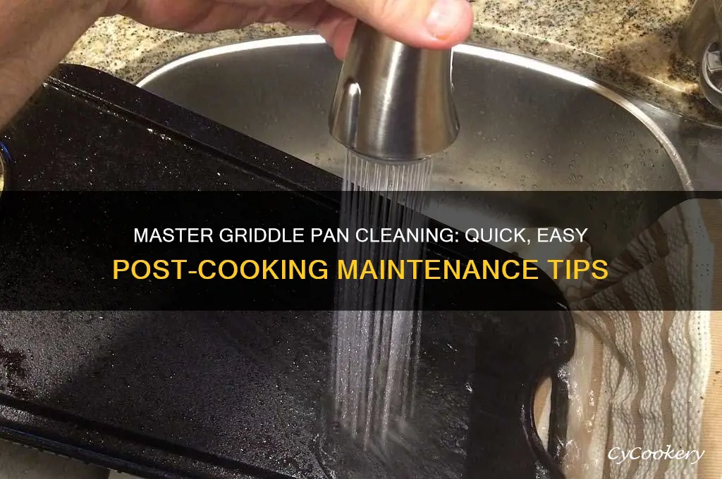 how to clean a griddle pan after use