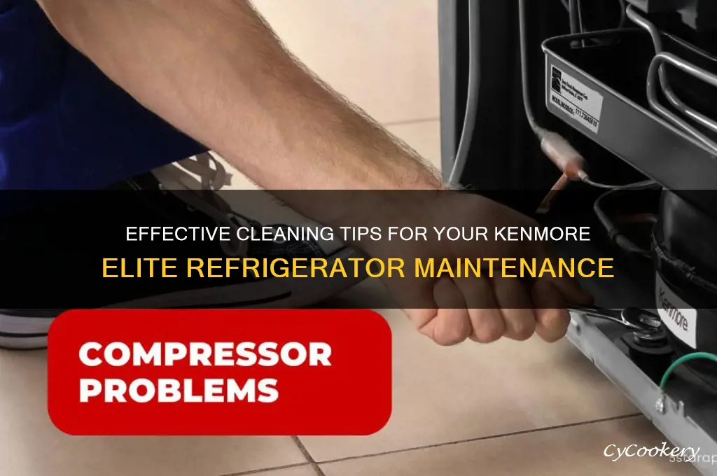 how to clean a kenmore elite refrigerator