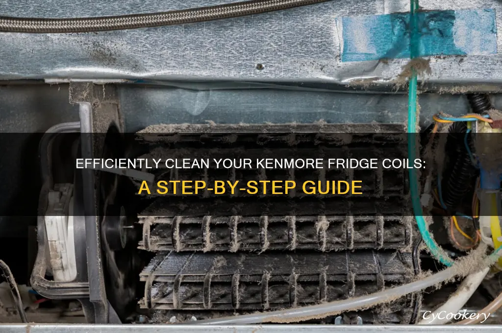 how to clean a kenmore refrigerator coil