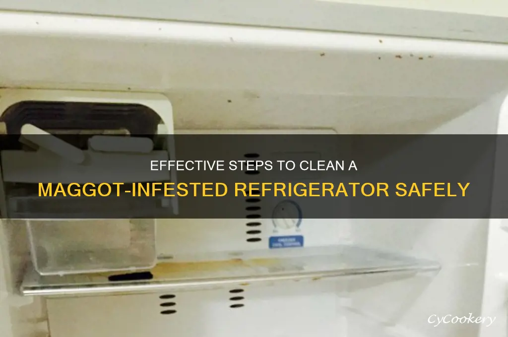 how to clean a maggot infested refrigerator