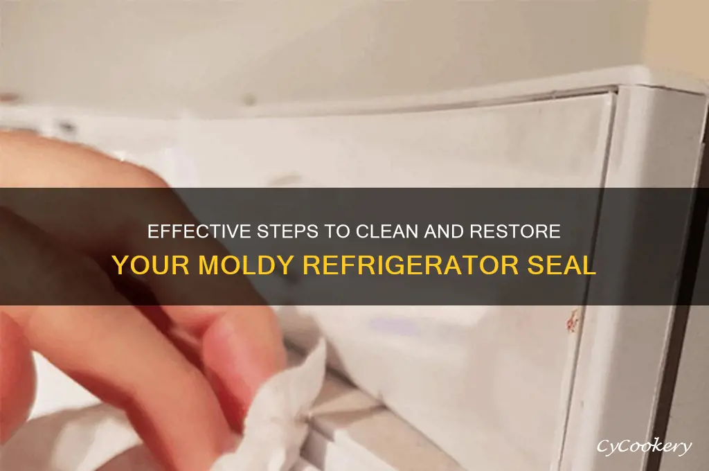 how to clean a moldy refrigerator seal