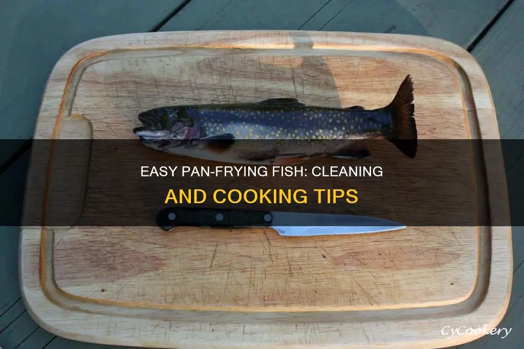 how to clean a pan fish