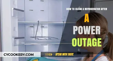 Fresh Start: Cleaning Your Fridge Post-Power Outage